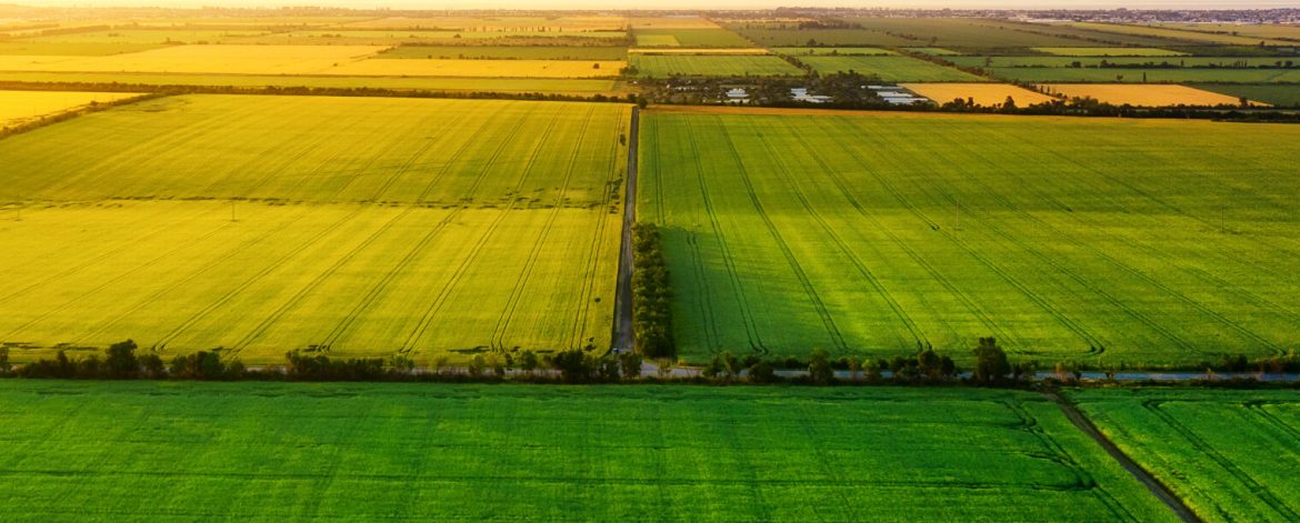 種植基地