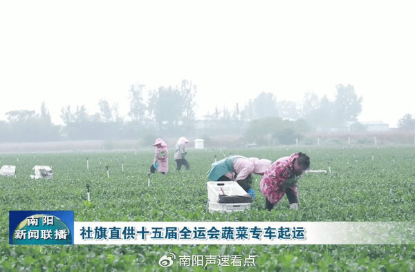 w700d1q75cms - 複製