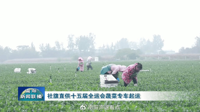 w700d1q75cms - 複製