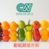 擺盤想吸睛