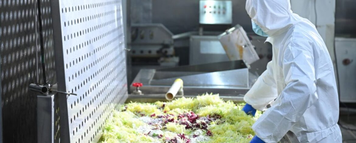 CW Facebook 2026 (1200 x 630 像素) 蔬菜代工