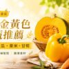 金黃色系當造蔬菜