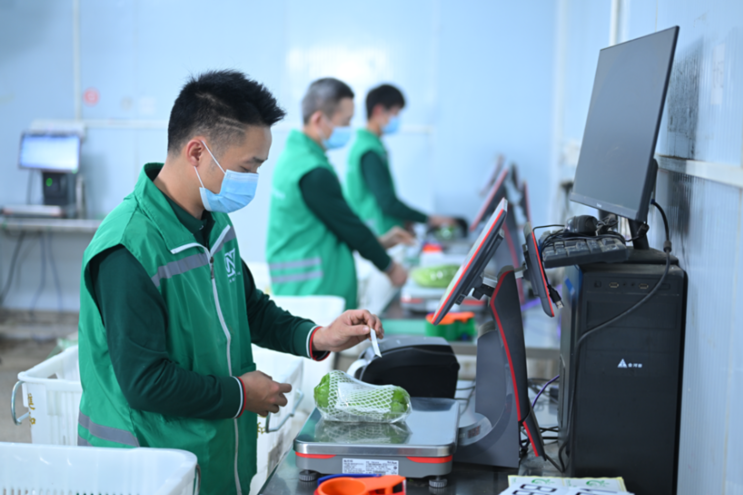 Getting-to-Know-Chun-Wo-Holdings-Vegetables-Wholesale-Services_B